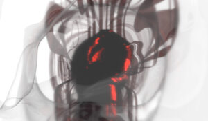 Lee más sobre el artículo Interstitial Fictions in BERROCAL